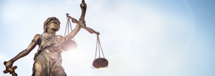 E&O / Professional Liability